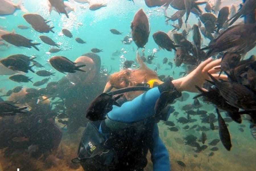 Погружение с аквалангом с берега